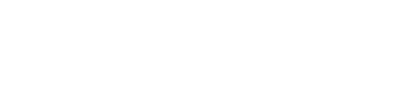 Root & Bloom Therapy