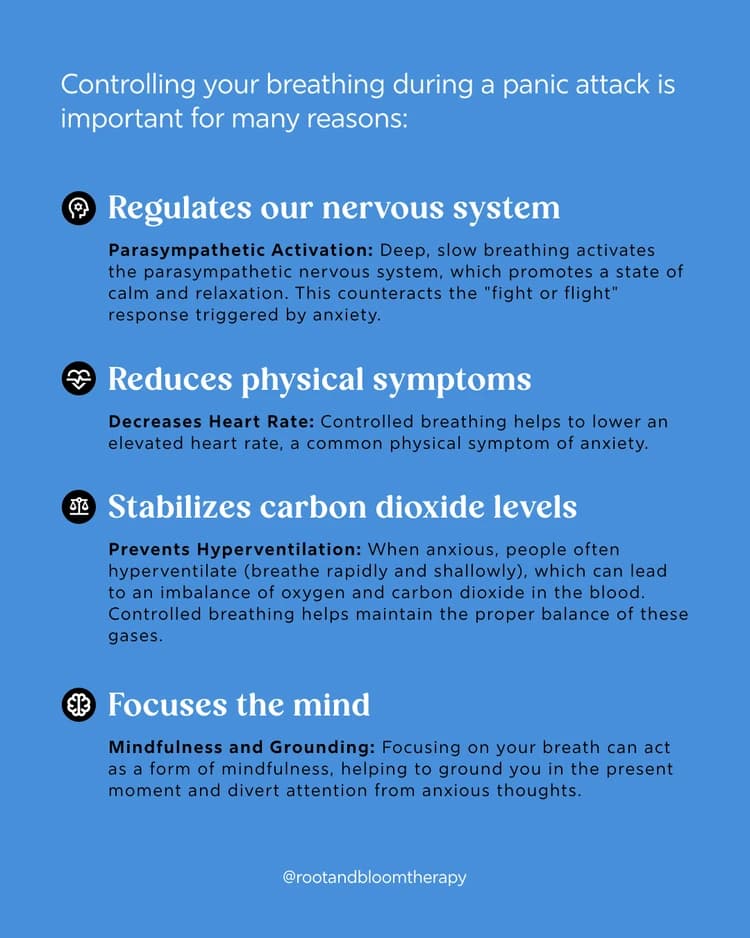 Infographic on why controlled breathing helps during a panic attack: regulates the nervous system, reduces physical symptoms, stabilizes carbon dioxide levels, and focuses the mind